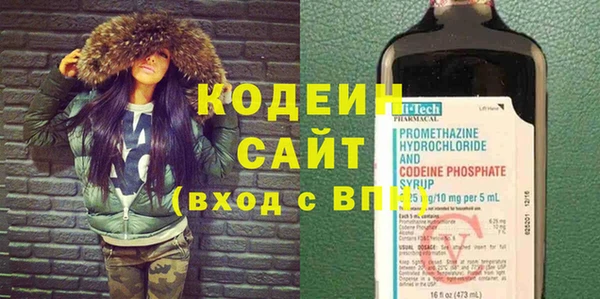 прущие грибы Мурманск