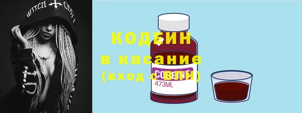 PSILOCYBIN Алагир