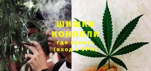 эйфоретик Анжеро-Судженск