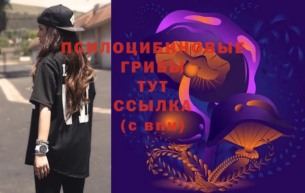 мет Анива
