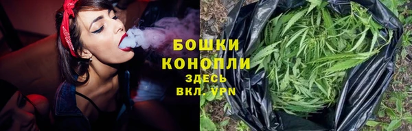 PSILOCYBIN Алагир