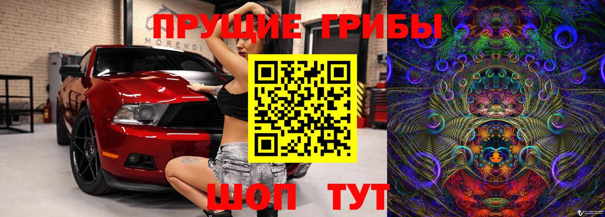 Псилоцибиновые грибы мицелий  Егорьевск  Псилоцибиновые грибы мицелий 