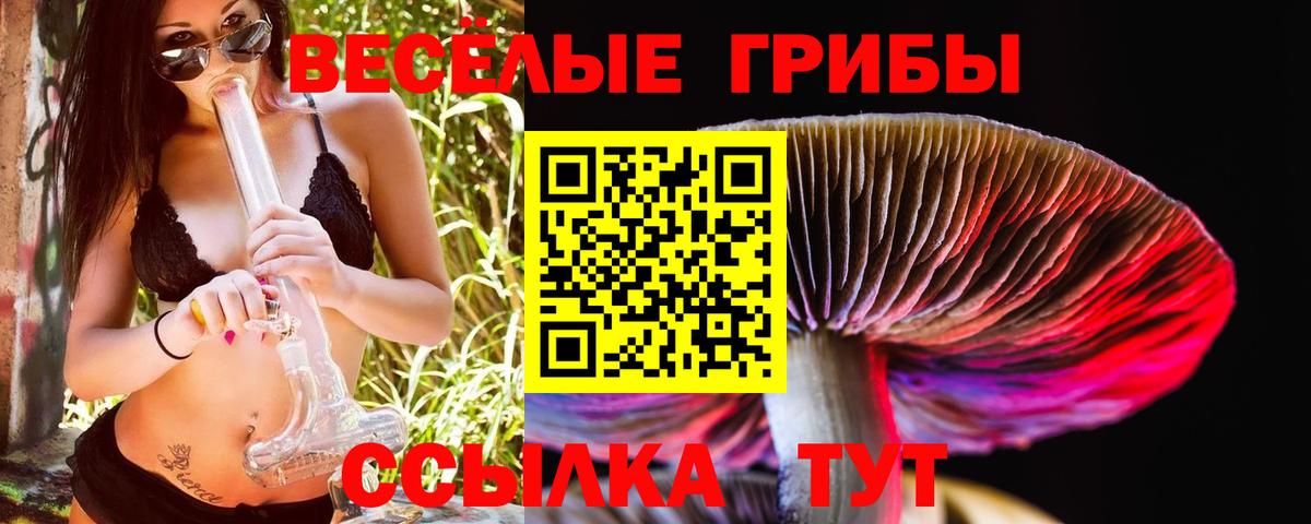Галлюциногенные грибы Cubensis Егорьевск